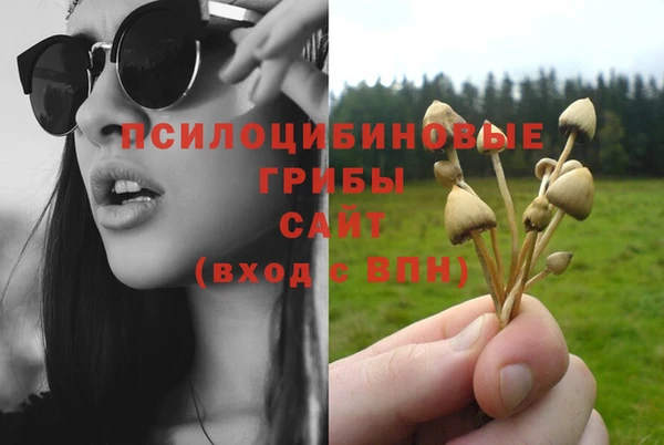 стаф Беломорск