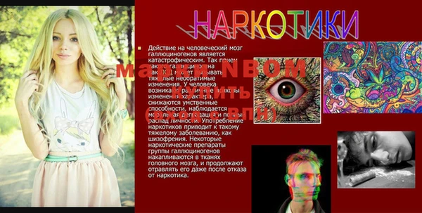 стаф Беломорск