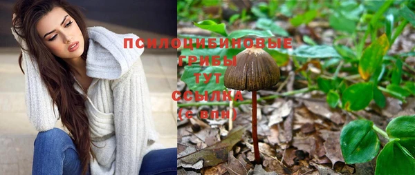 PSILOCYBIN Белоозёрский