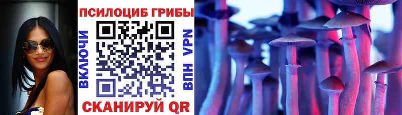Псилоцибиновые грибы GOLDEN TEACHER  Дятьково 
